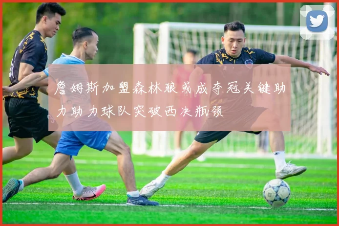 詹姆斯加盟森林狼或成夺冠关键助力助力球队突破西决瓶颈